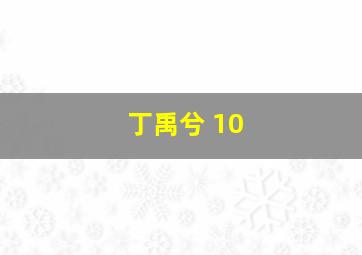 丁禹兮 10